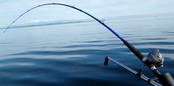 Pictures - Salmon Fishing Rods For Sale
